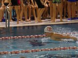 Bijemy Rekordy Korony-Swim Kielce 2019