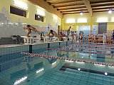 Bijemy Rekordy Korony-Swim Kielce 2019