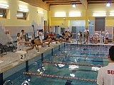 Bijemy Rekordy Korony-Swim Kielce 2019