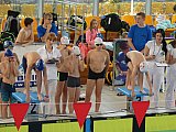 VIII Mityng Pływacki - Rybnik